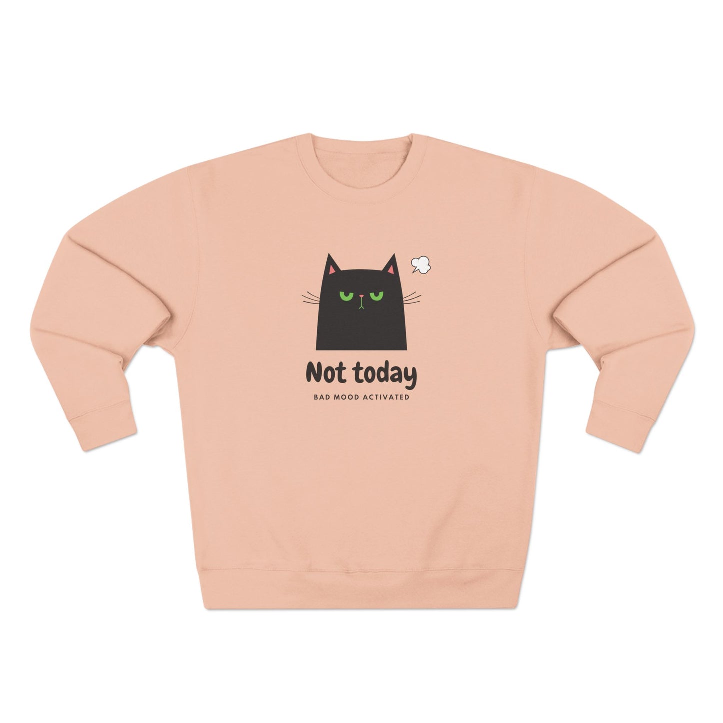 Funny sarcastic cat sweatshirt with Not Today message