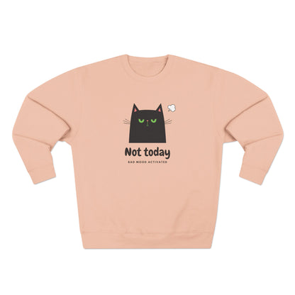 Funny sarcastic cat sweatshirt with Not Today message