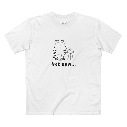 Funny grumpy cat t-shirt with minimalist “Not Now” design for cat lovers.